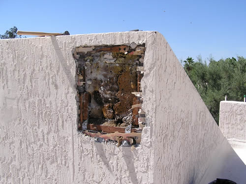 Wall has been opened to expose honeycomb