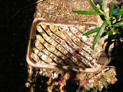Valve box packed with honeycomb