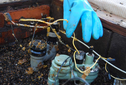 Close-up of wires inside valve box after specialist carefully removed the comb attached to the wires
