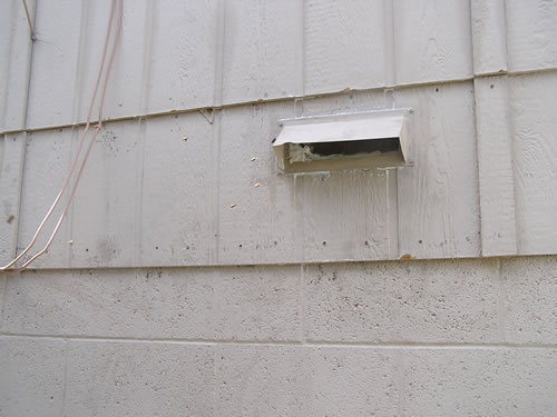 Dryer vent in wood siding through which African honeybees gained entry into hollow wall cavity